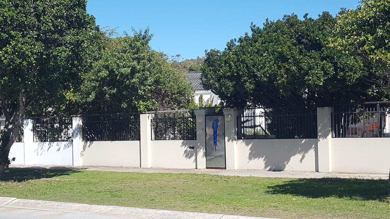 Blu Bed&Breakfast Port Elizabeth Exterior foto