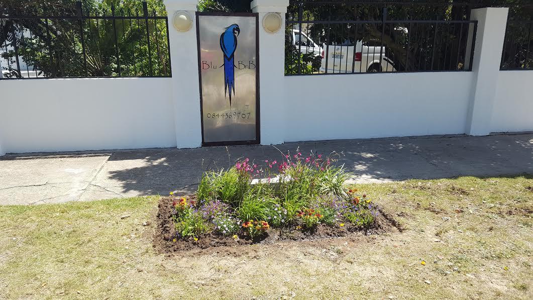 Blu Bed&Breakfast Port Elizabeth Exterior foto